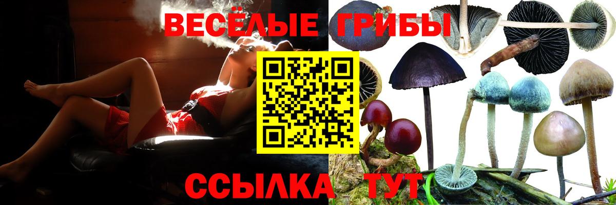 Галлюциногенные грибы прущие грибы Тимашёвск